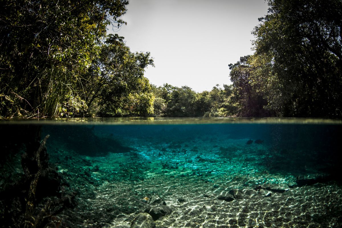 viagem para Bonito